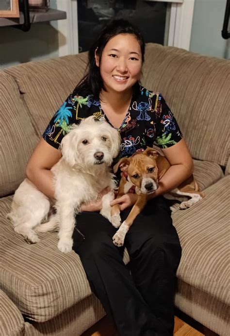 village vet webster ny|Meet The Village Vet Staff .